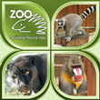 ZOO Spisska Nova Ves - lion, zebra, monkeys, bear and much much more!